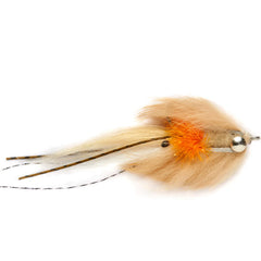 Skittal Mantis Shrimp