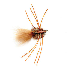 Adams’ Bastard Crab