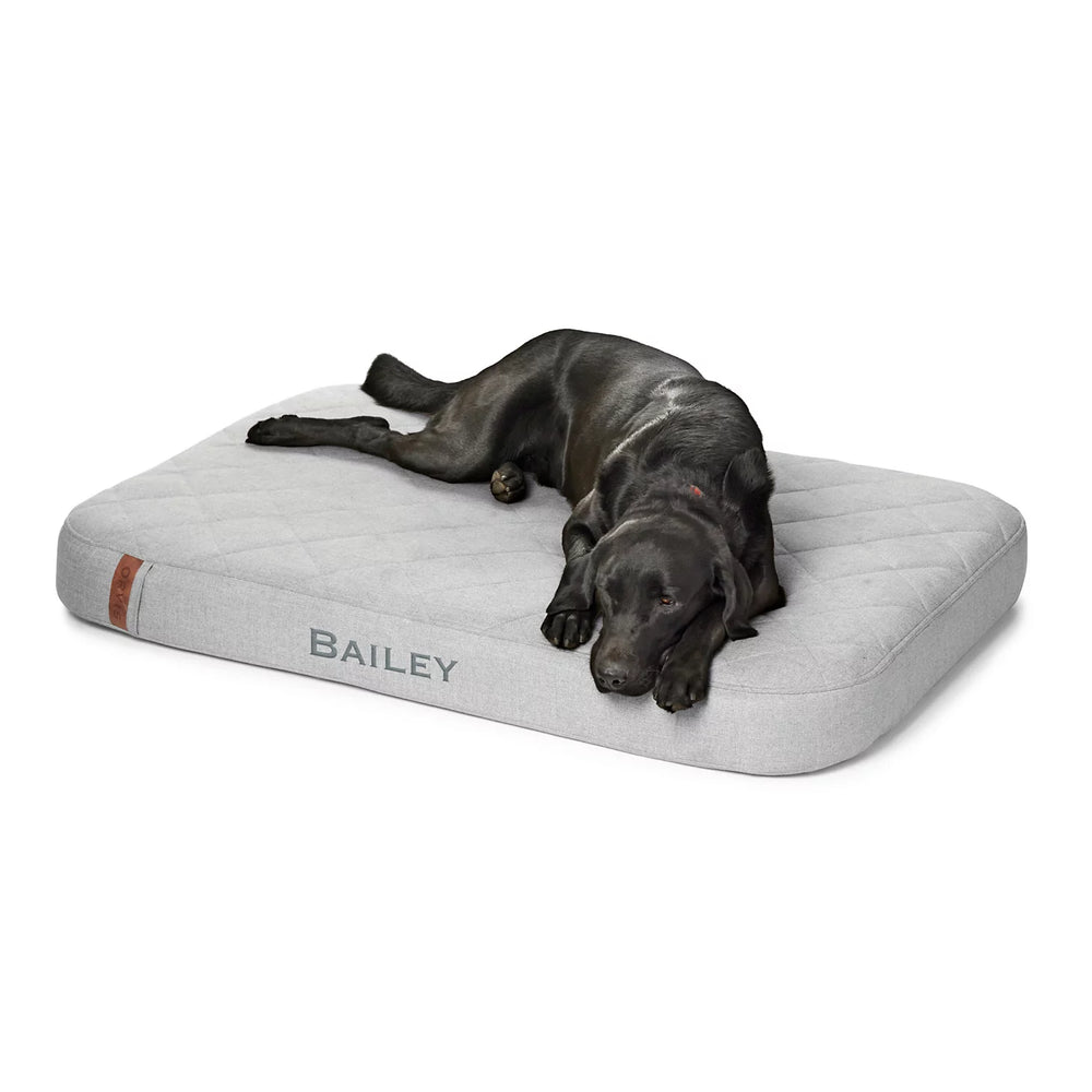 Orvis RecoveryZone® Lounger Dog Bed