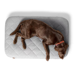 Orvis RecoveryZone® Lounger Dog Bed