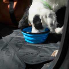 Tough Trail® Collapsible Dog Bowl