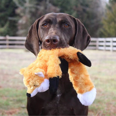 Stuffless Fox Dog Toy