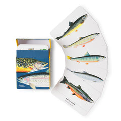 Trout of North America Cards
