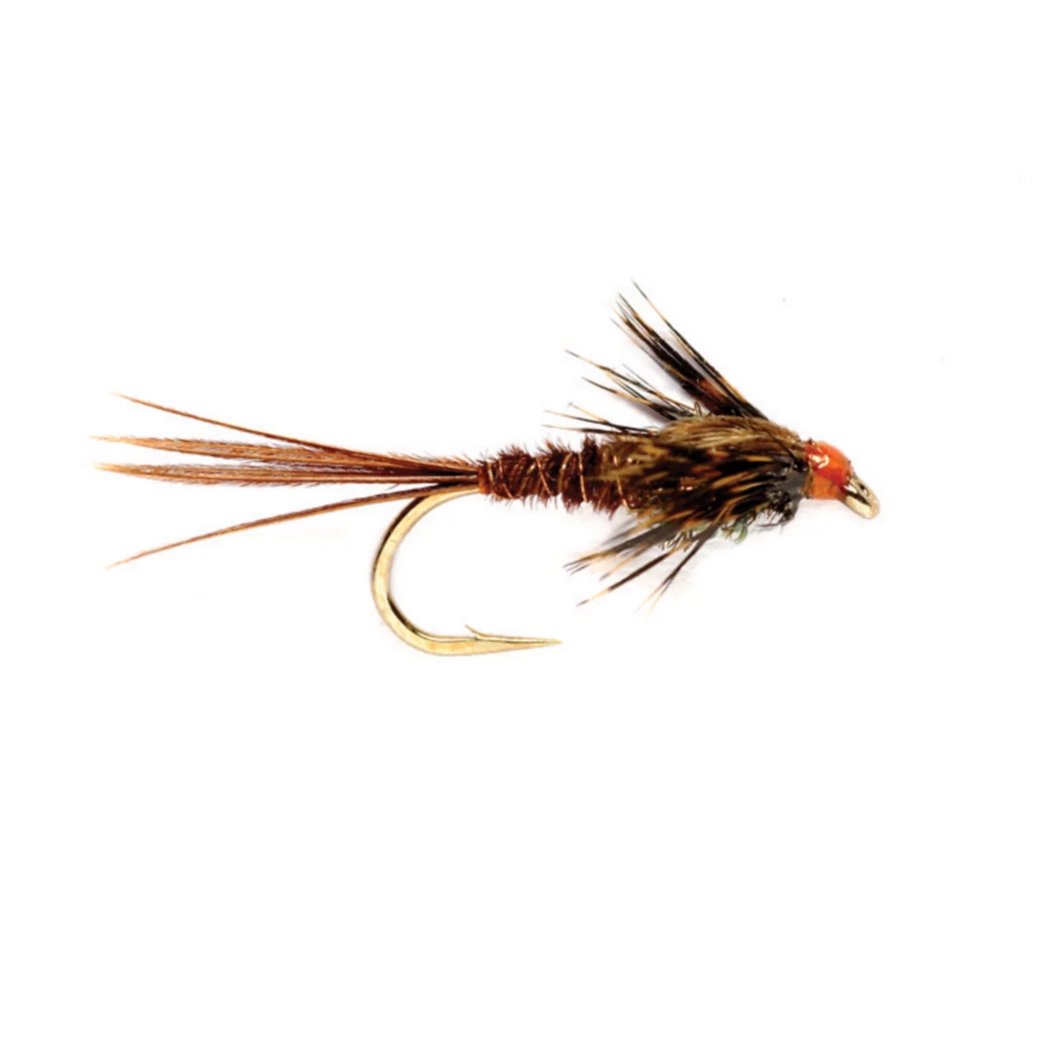 American Pheasant Tail