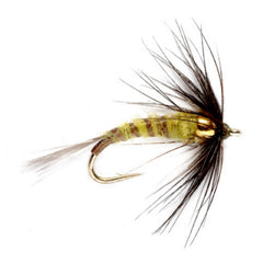 Bead Head Flymph - BWO