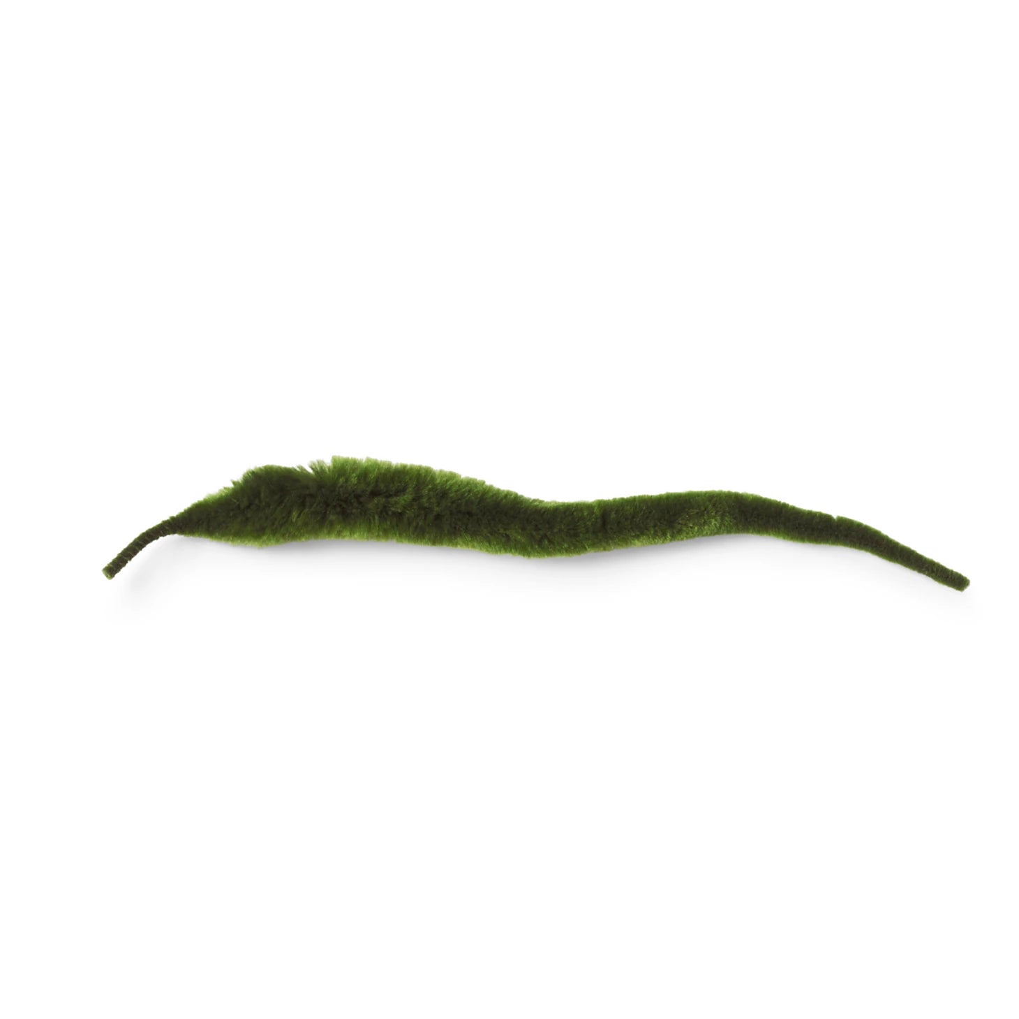 Mangum’s Dragon Tail