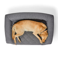 Orvis RecoveryZone® Couch Dog Bed