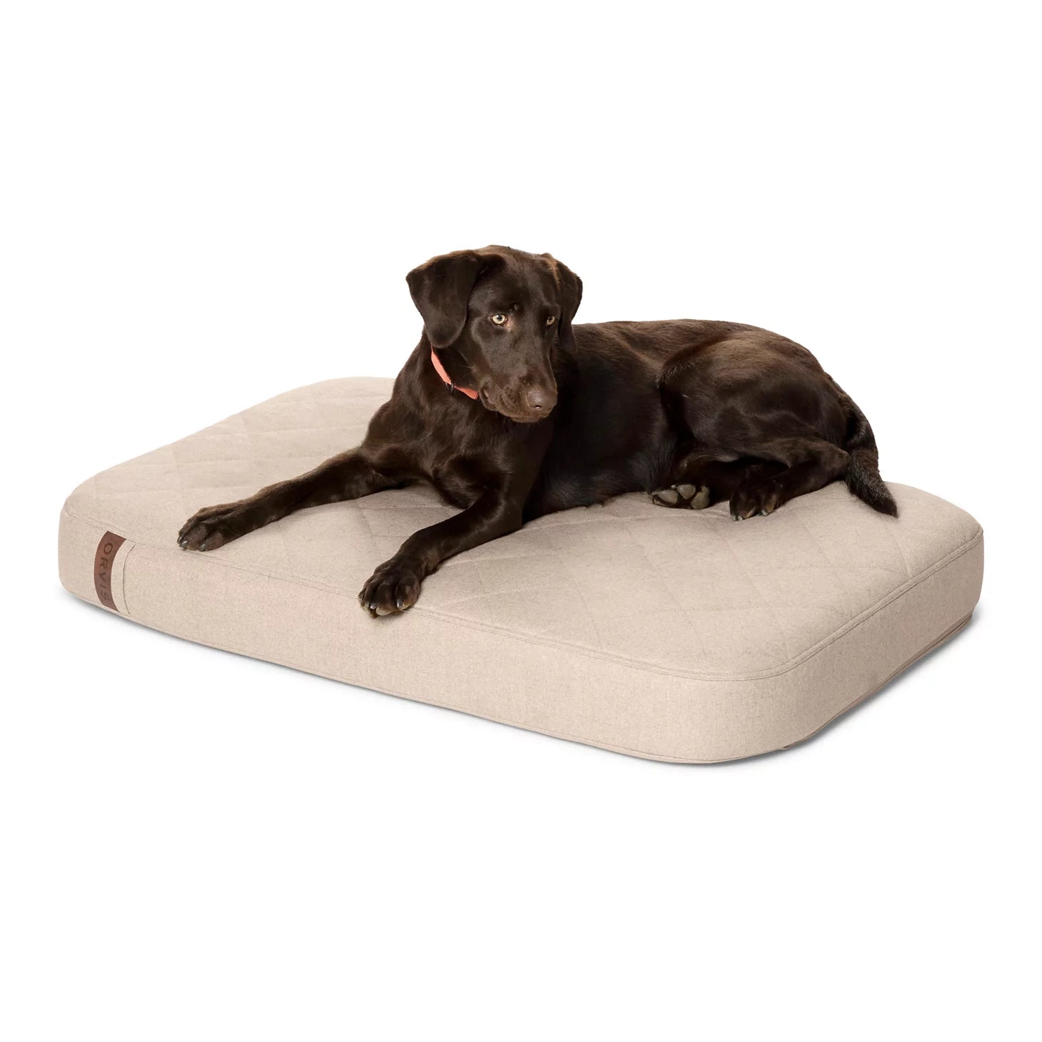 Orvis RecoveryZone® Lounger Dog Bed