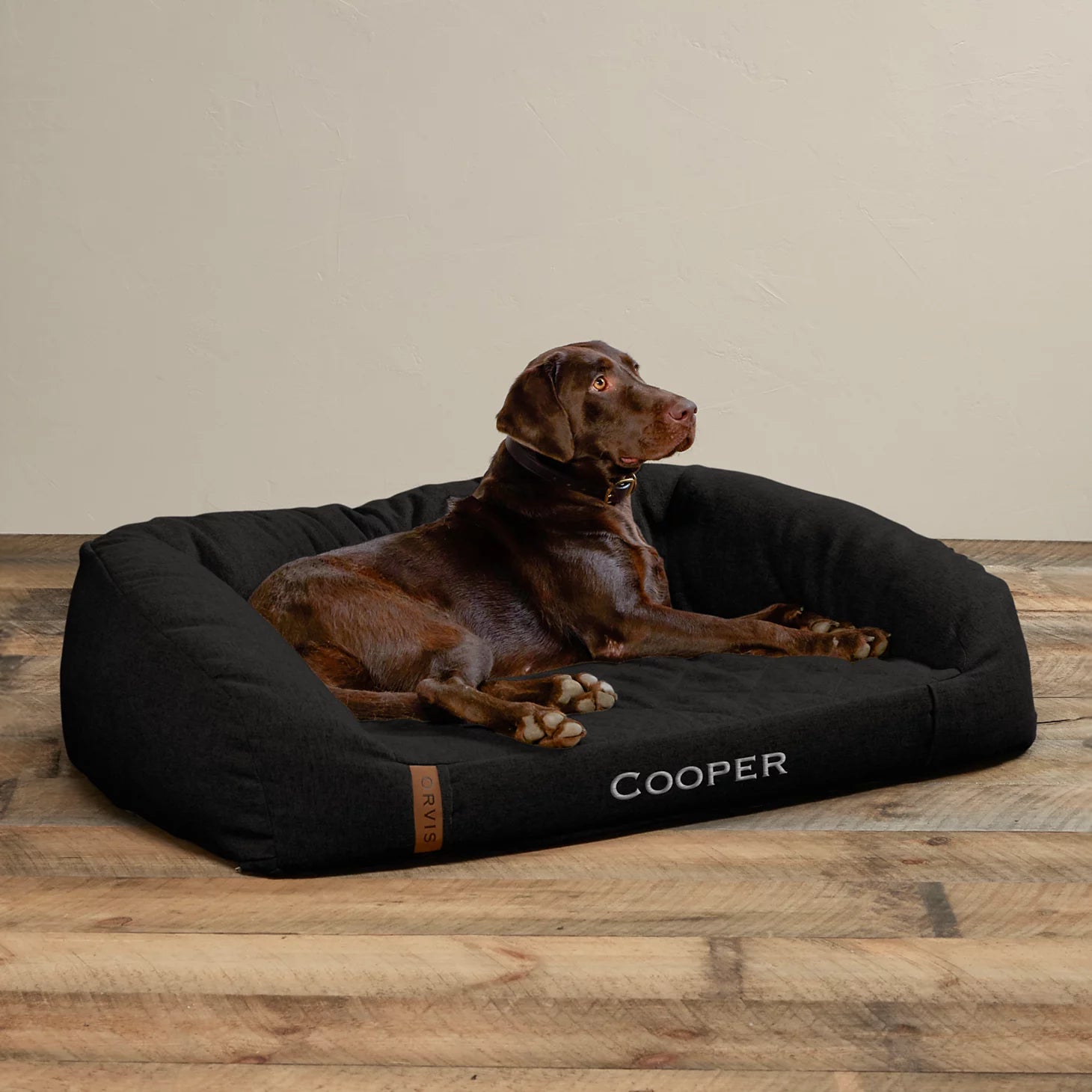 Memory Foam Couch Dog Bed