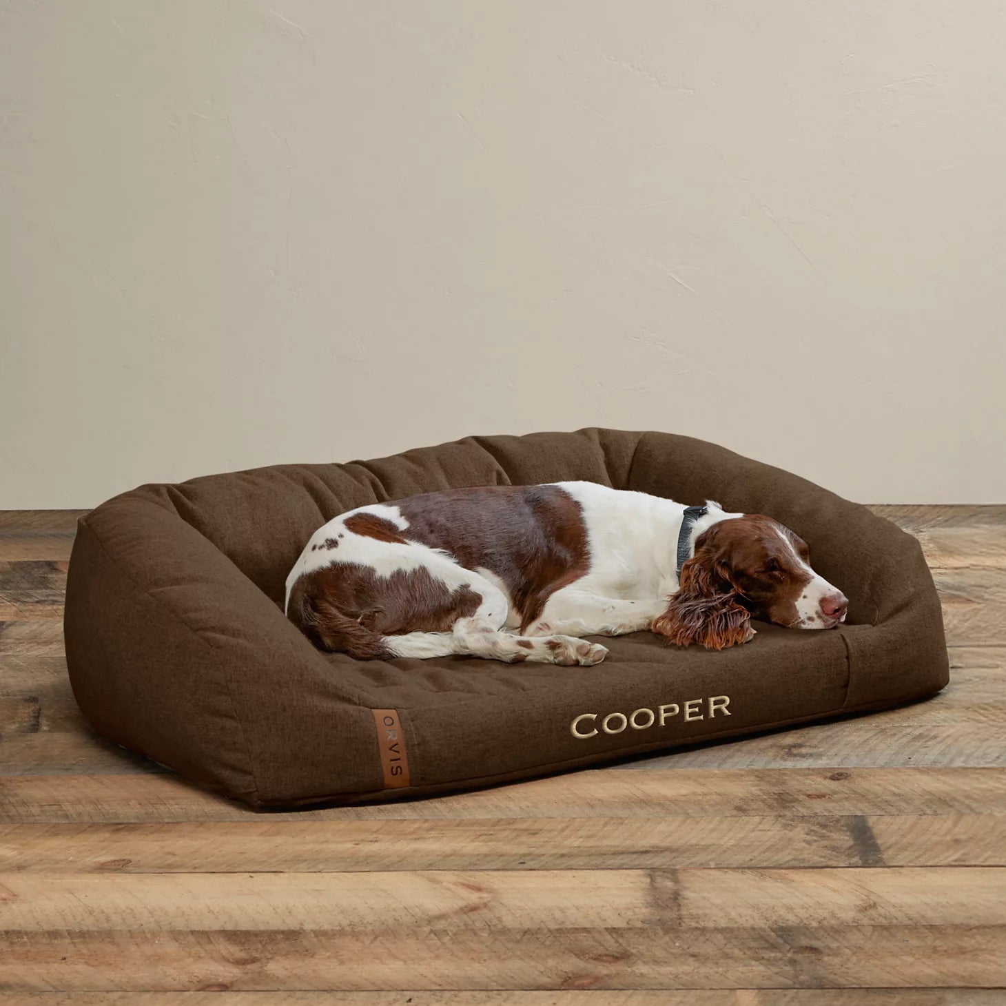 Memory Foam Couch Dog Bed