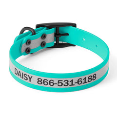 Orvis Waterproof Dog Collar