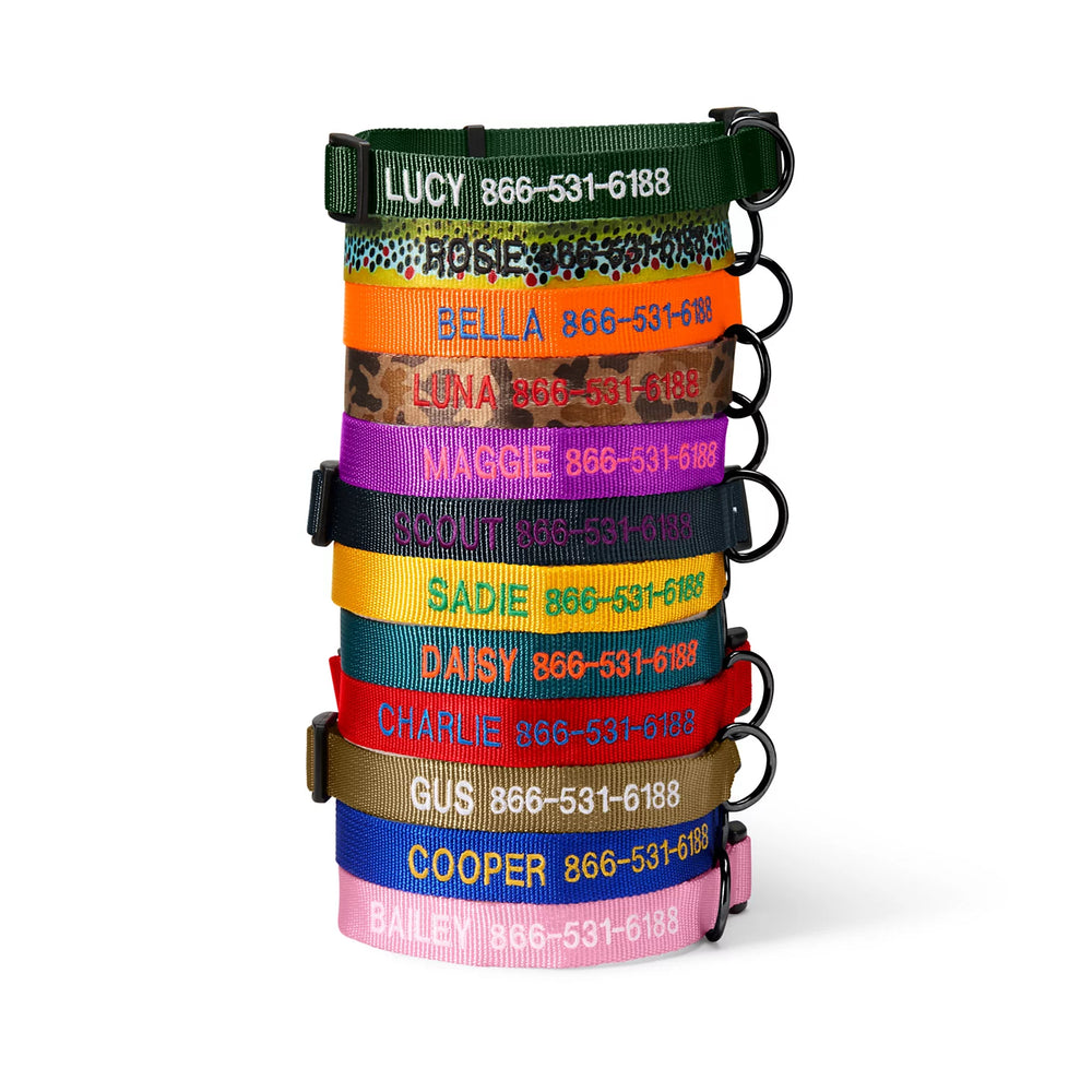 Personalized Side-Release Buckle Collar