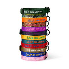 Personalized Side-Release Buckle Collar