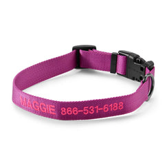 Personalized Side-Release Buckle Collar