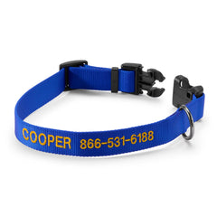 Personalized Side-Release Buckle Collar and Leash