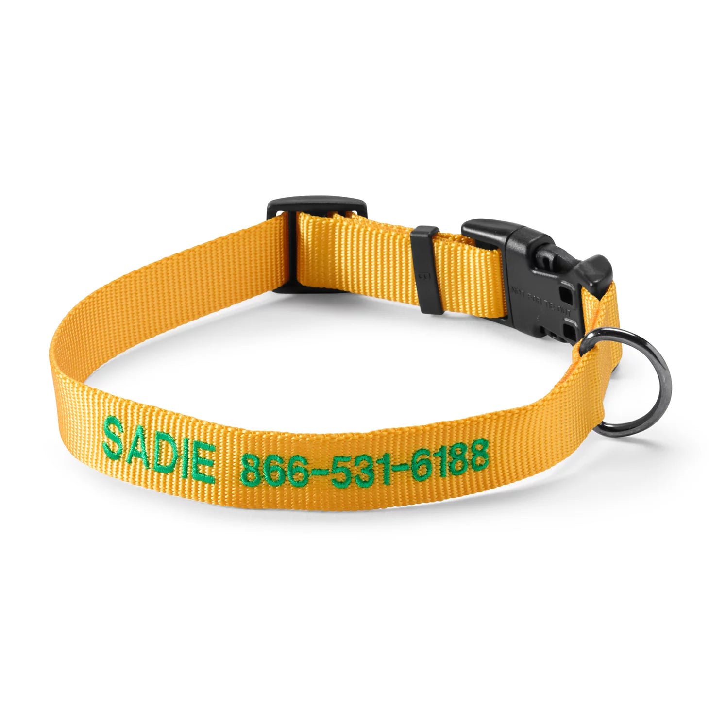 Personalized Side-Release Buckle Collar and Leash