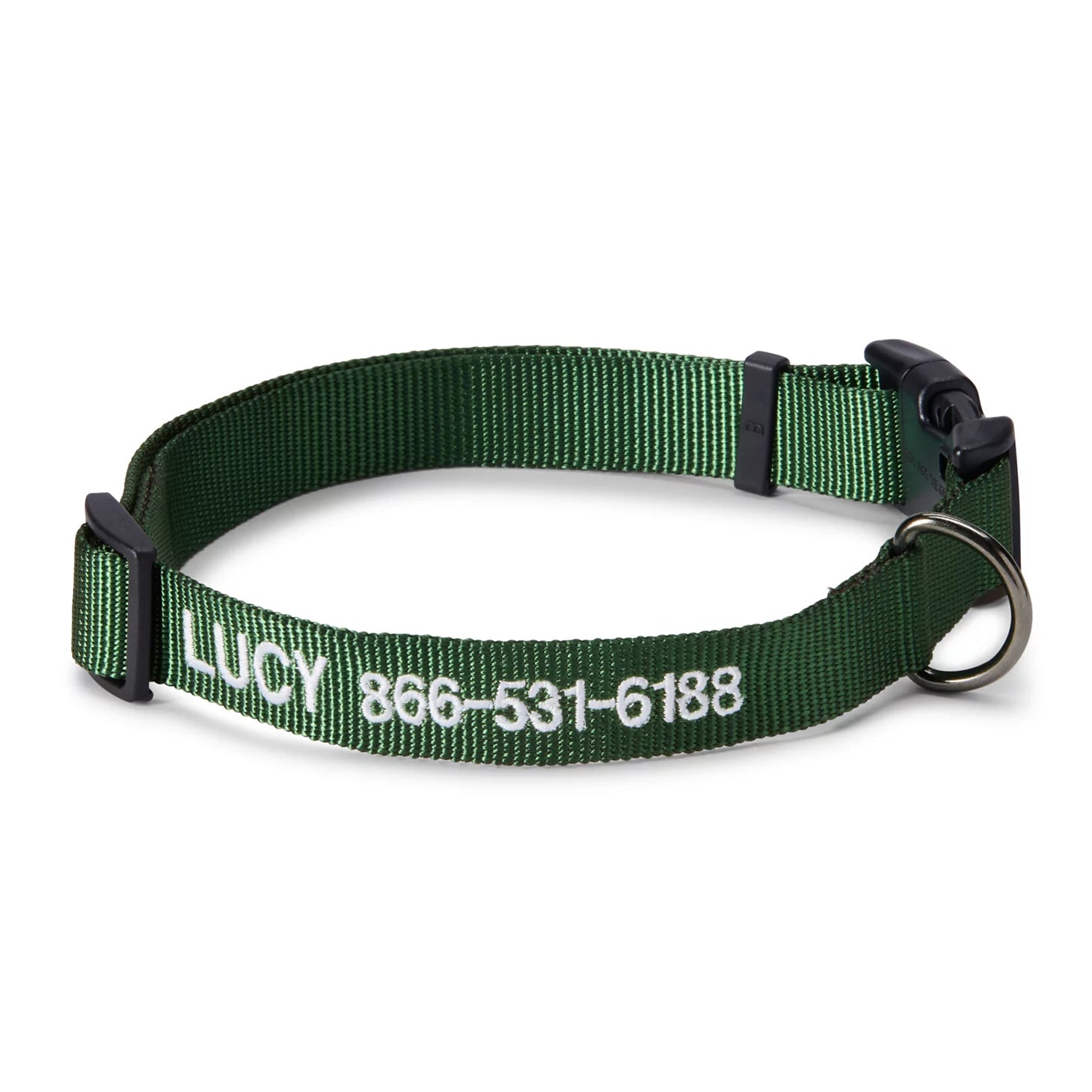 Personalized Side-Release Buckle Collar and Leash