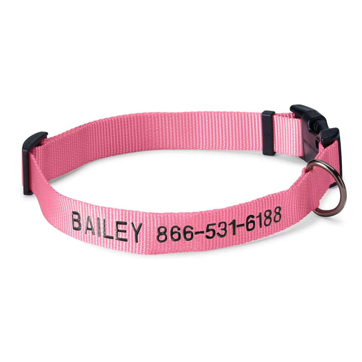 Personalized Side-Release Buckle Collar and Leash