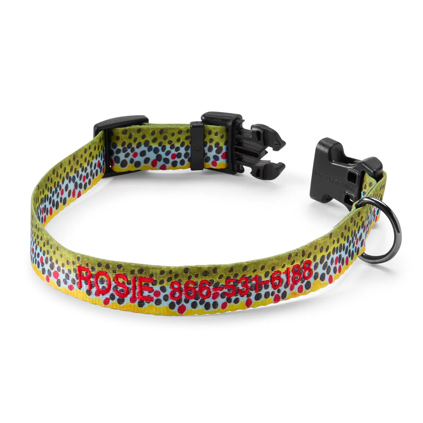 Personalized Side-Release Buckle Collar and Leash