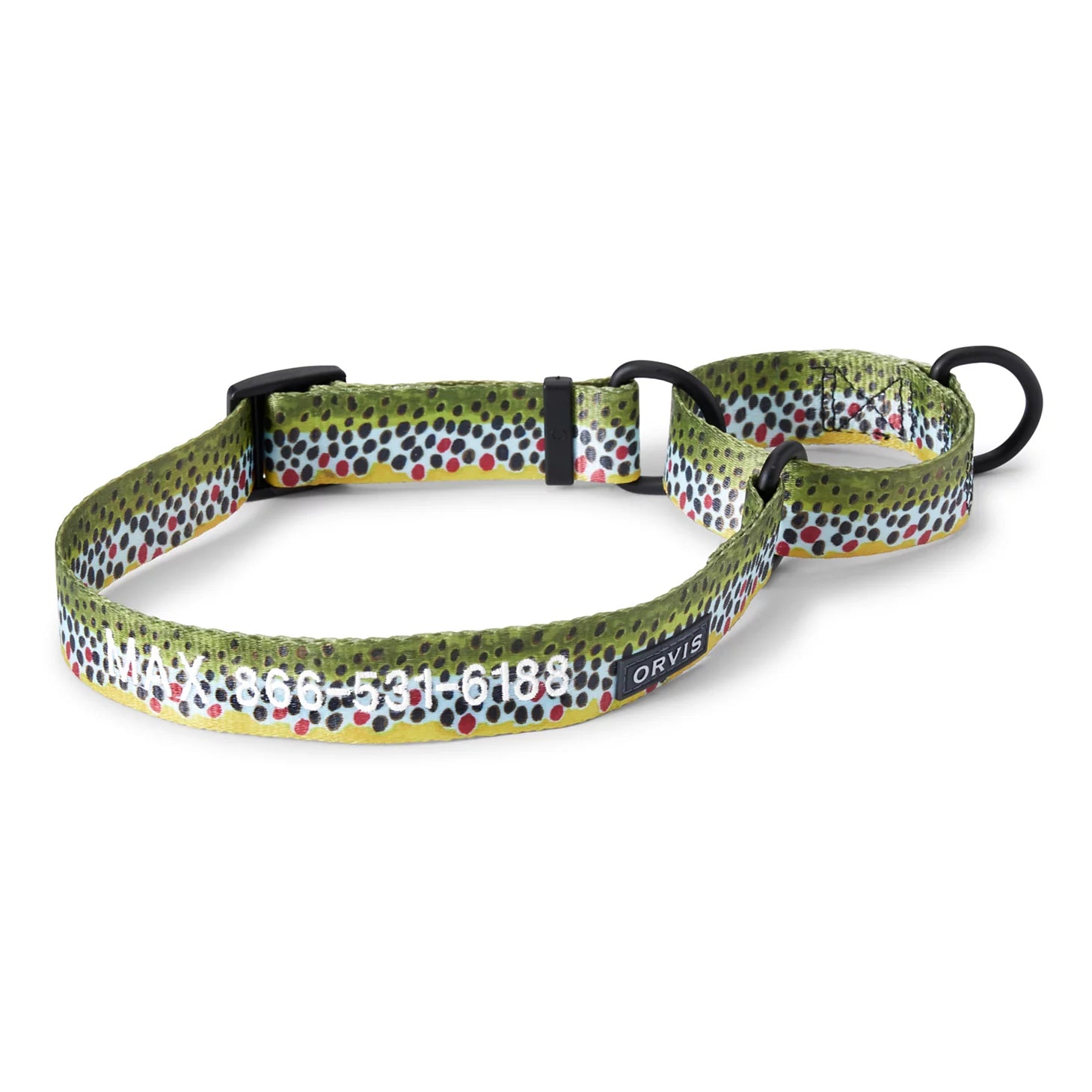 Orvis Personalized Martingale Dog Collar