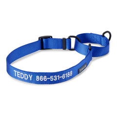 Orvis Personalized Martingale Dog Collar