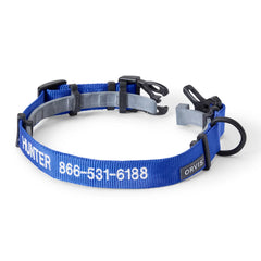 Orvis Personalized Flea & Tick Compatible Dog Collar