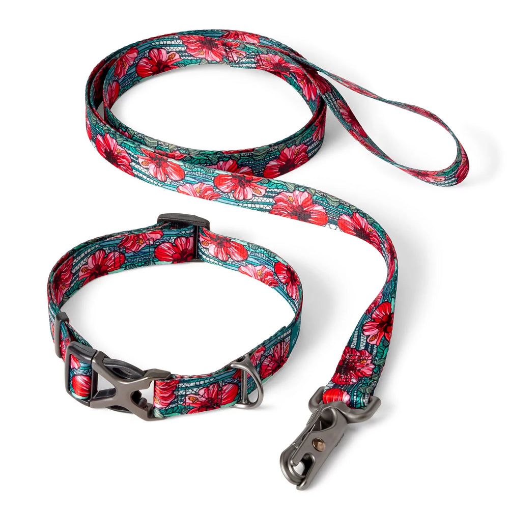 Orvis x Fishe® Wear Collar