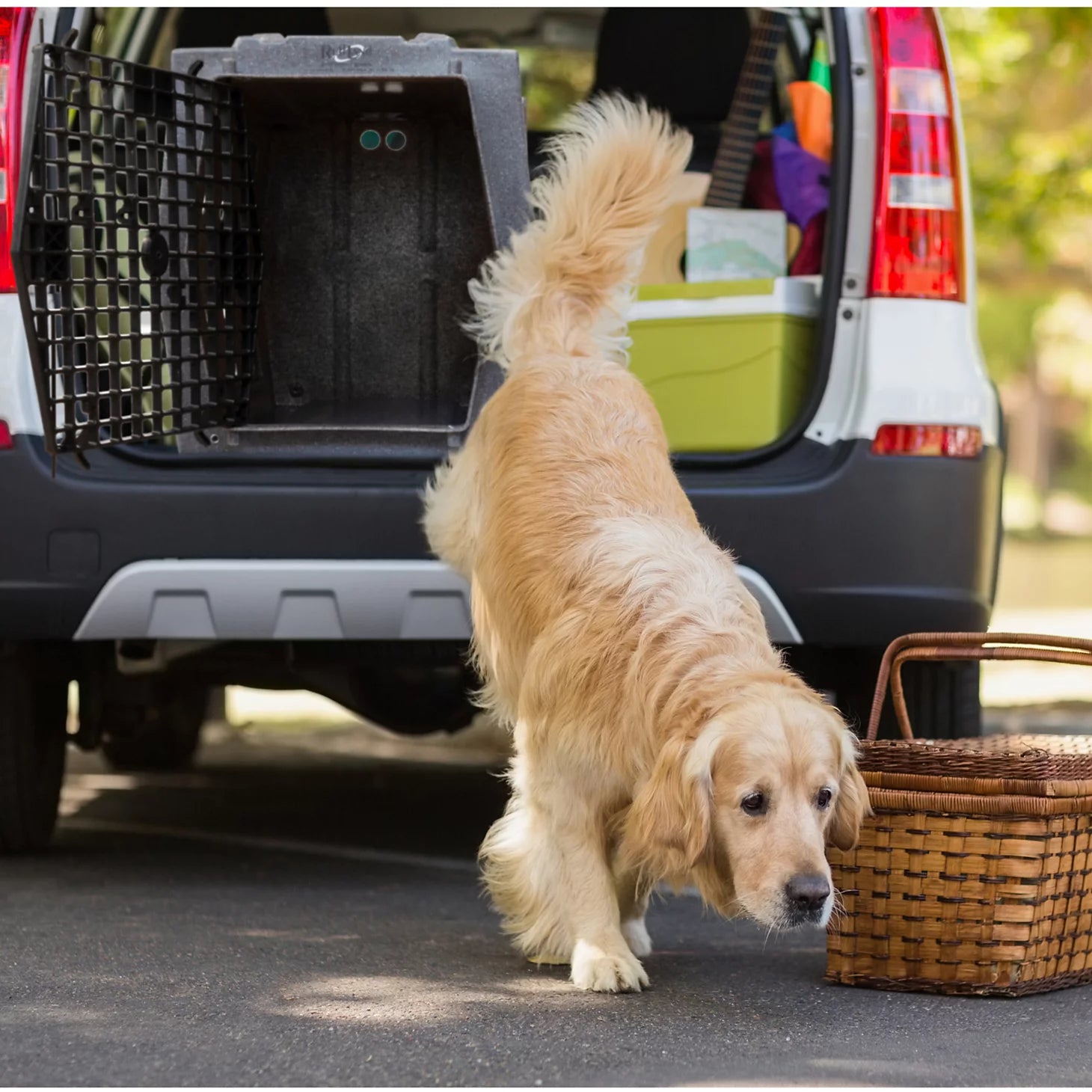 Ruff Land™ Performance Dog Kennel