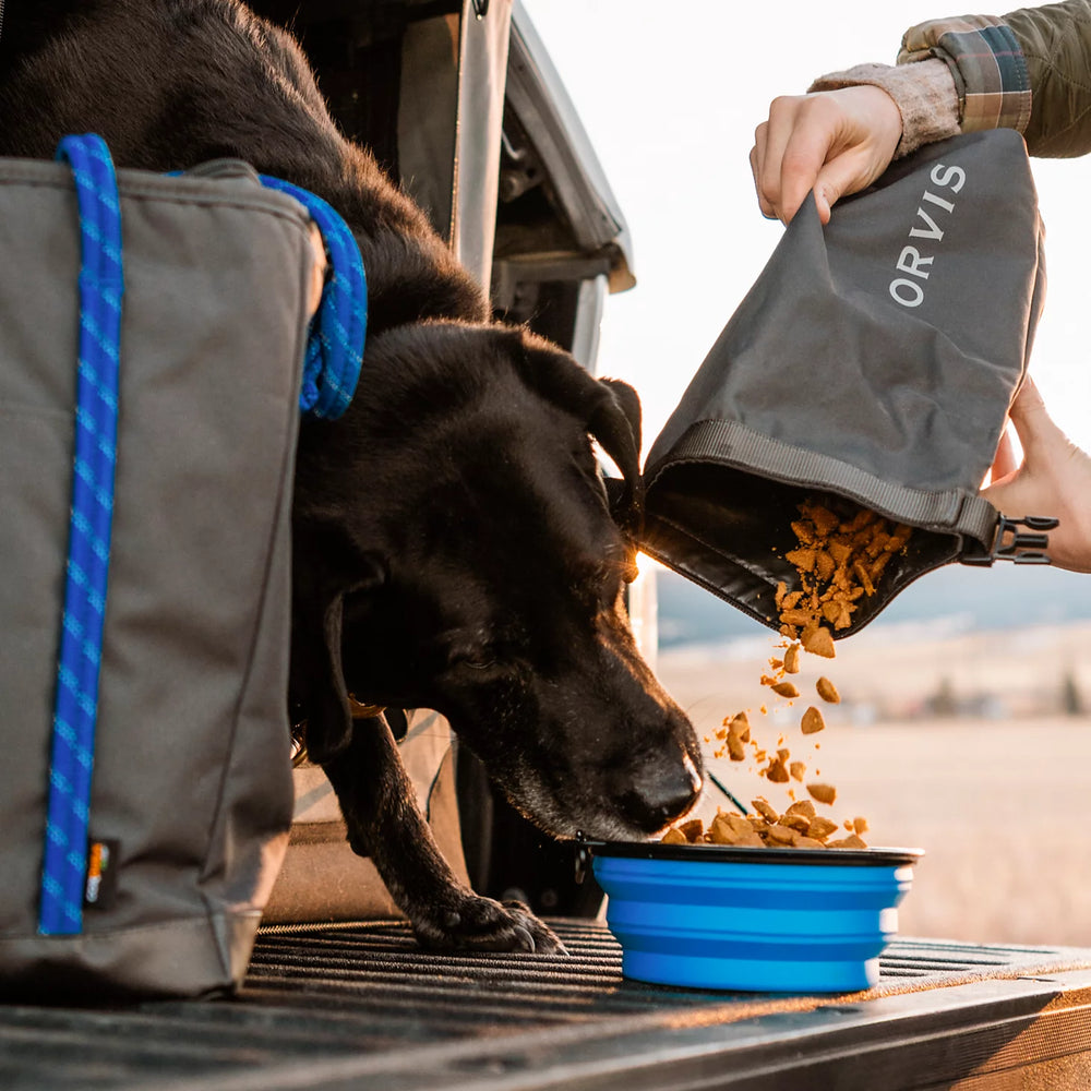 Tough Trail® Dog Travel Tote Kit