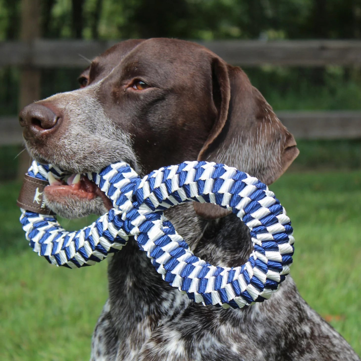 Infinity Braided Dog Toy