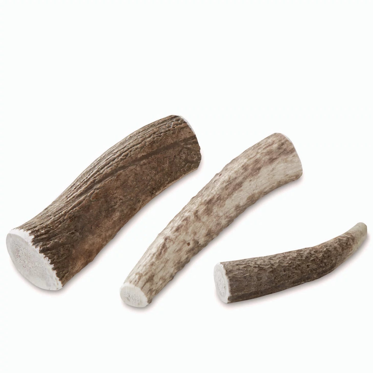 Elk Antler Chews