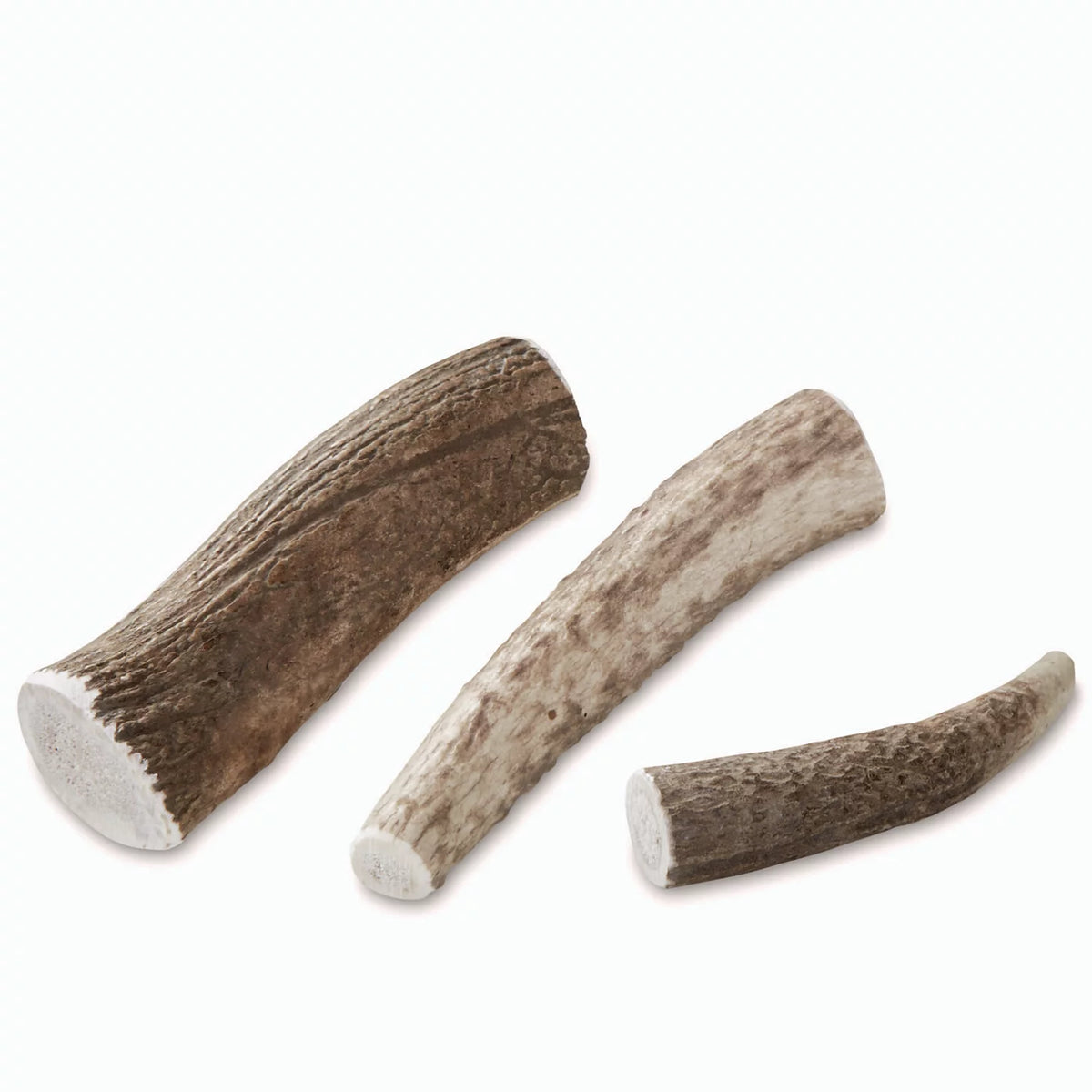 Elk Antler Chews