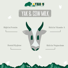 Yak-9 Dog Chew - Single